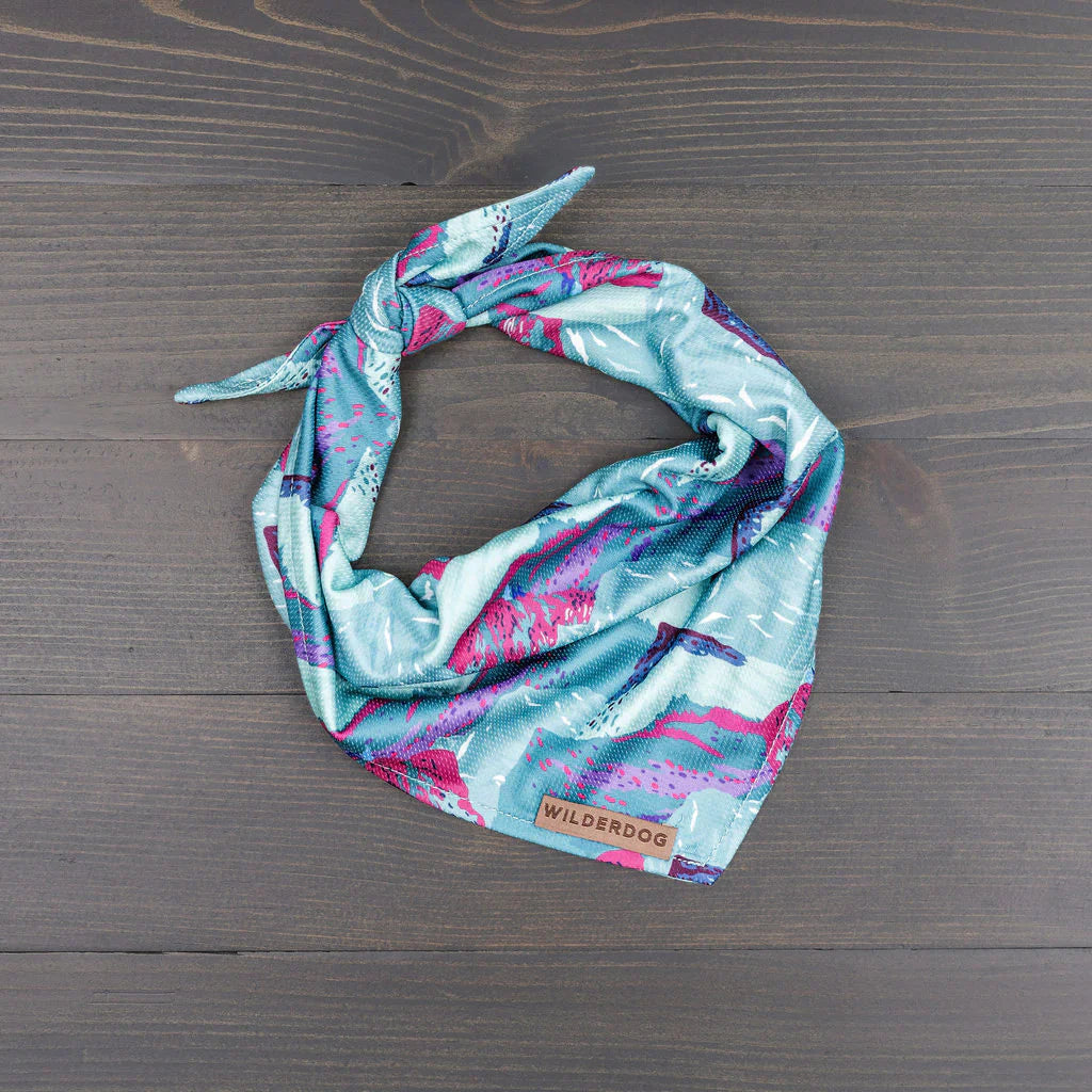 Bandana rafraîchissant - Wilder dog