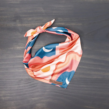 Bandana rafraîchissant - Wilder dog